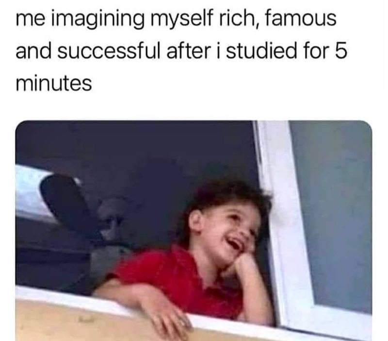 me imagining myself rich, famous and successful after i studied for 5 minutes