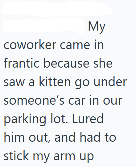 My coworker came in frantic because she saw a kitten go under someone's car in our parking lot. Lured him out, and had to stick my arm up