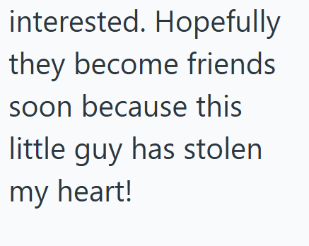 interested. Hopefully they become friends soon because this little guy has stolen my heart!