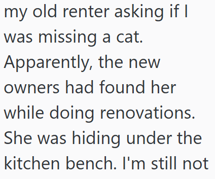 my old renter asking if I was missing a cat. Apparently, the new owners had found her while doing renovations. She was hiding under the kitchen bench. I'm still not