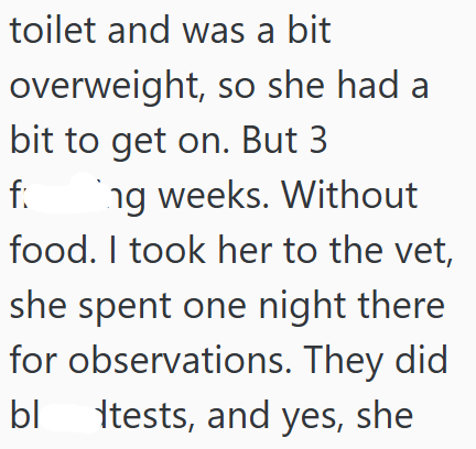 toilet and was a bit overweight, so she had a bit to get on. But 3 fi ng weeks. Without food. I took her to the vet, she spent one night there for observations. They did bl tests, and yes, she