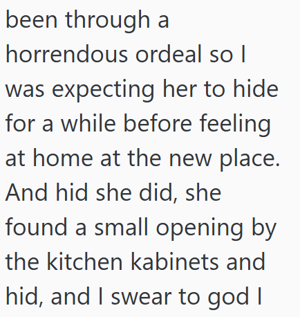 been through a horrendous ordeal so I was expecting her to hide for a while before feeling at home at the new place. And hid she did, she found a small opening by the kitchen kabinets and hid, and I swear to god I