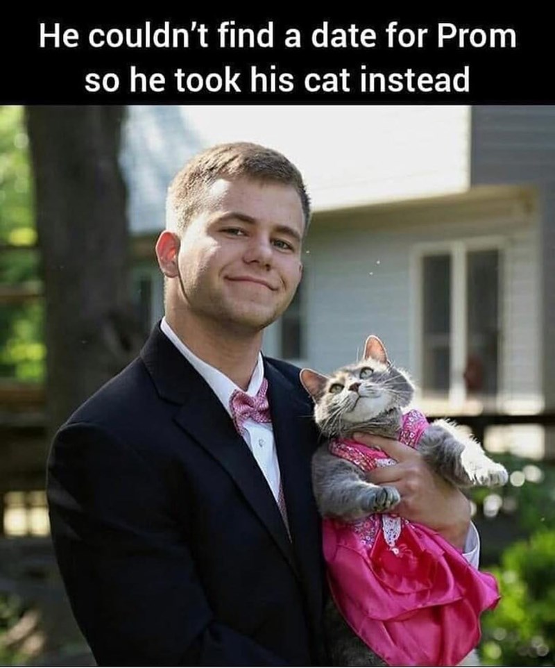 He couldn't find a date for Prom so he took his cat instead