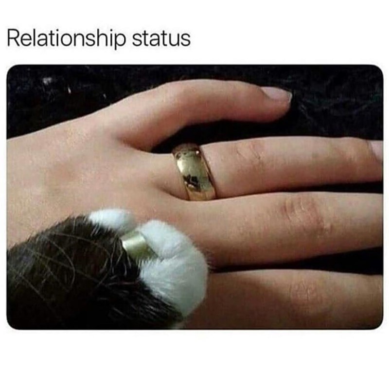 Relationship status