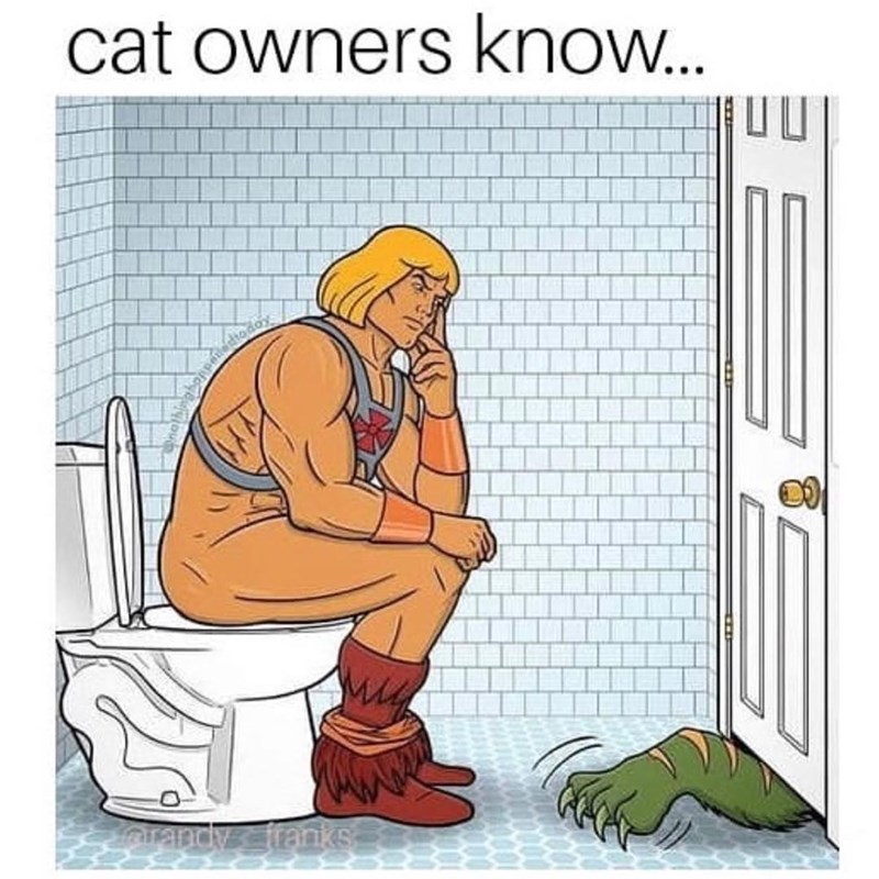 cat owners know... arandy franks