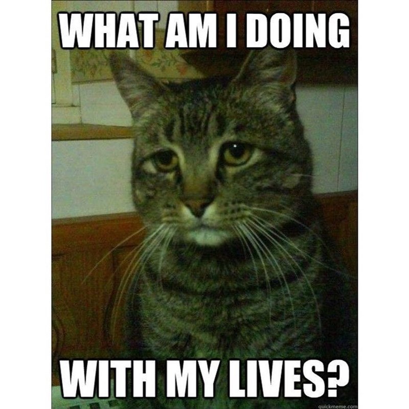 WHAT AM I DOING WITH MY LIVES? quickmeme.com