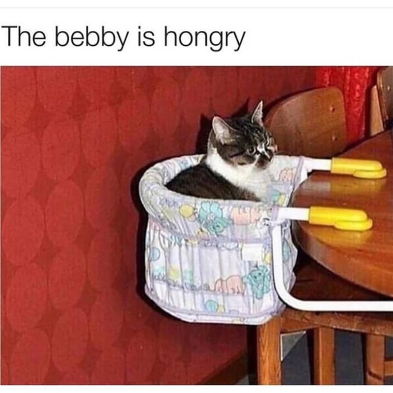 The bebby is hongry