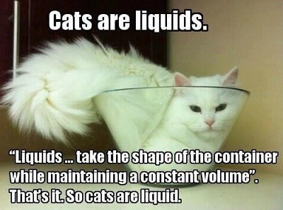 Cats are liquids. "Liquids ... take the shape of the container while maintaining a constant volume". That's it. So cats are liquid.
