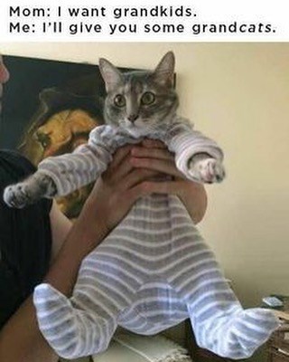 Mom: I want grandkids. Me: I'll give you some grandcats.