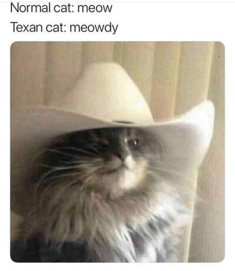 Normal cat: meow Texan cat: meowdy