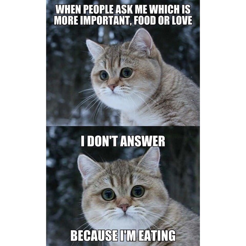 WHEN PEOPLE ASK ME WHICH IS MORE IMPORTANT, FOOD OR LOVE I DON'T ANSWER BECAUSE I'M EATING
