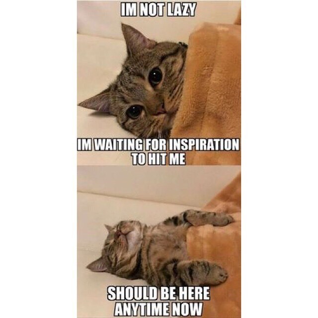 IM NOT LAZY IM WAITING FOR INSPIRATION TO HIT ME SHOULD BE HERE ANYTIME NOW