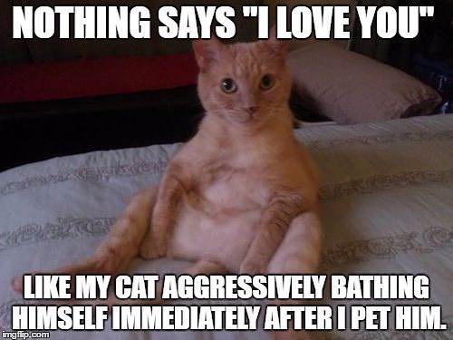 NOTHING SAYS "I LOVE YOU" LIKE MY CAT AGGRESSIVELY BATHING HIMSELF IMMEDIATELY AFTER I PET HIM. imgflip.com