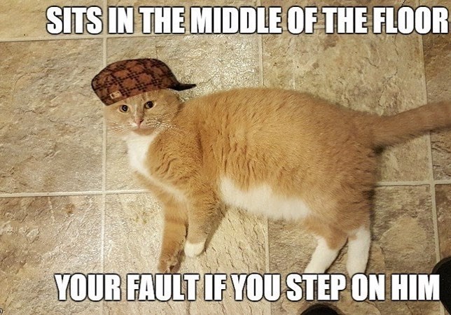 SITS IN THE MIDDLE OF THE FLOOR YOUR FAULT IF YOU STEP ON HIM