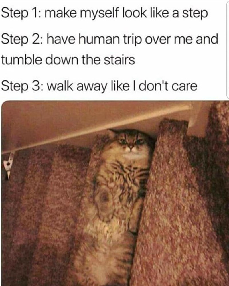 Step 1: make myself look like a step Step 2: have human trip over me and tumble down the stairs Step 3: walk away like I don't care