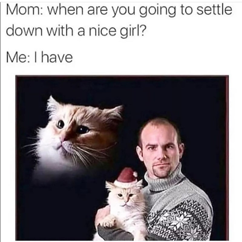 Mom: when are you going to settle down with a nice girl? Me: I have