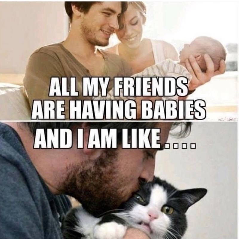 ALL MY FRIENDS ARE HAVING BABIES AND I AM LIKE...