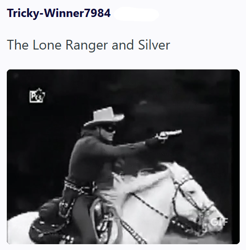 Tricky-Winner7984 The Lone Ranger and Silver GIF