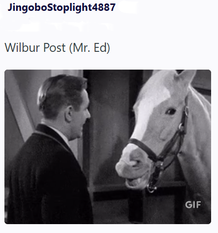 JingoboStoplight4887 Wilbur Post (Mr. Ed) GIF