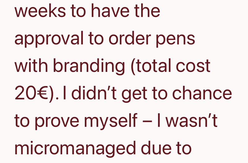weeks to have the approval to order pens with branding (total cost 20€). I didn't get to chance to prove myself - I wasn't micromanaged due to