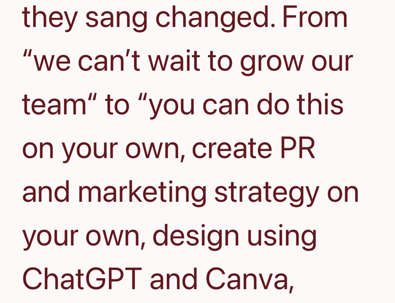 they sang changed. From "we can't wait to grow our team" to "you can do this on your own, create PR and marketing strategy on your own, design using ChatGPT and Canva,