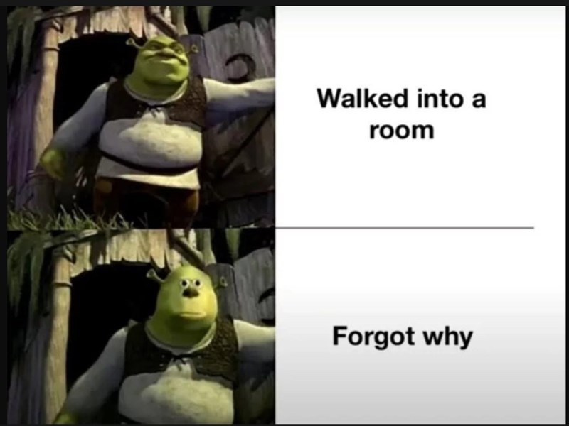 Walked into a room Forgot why