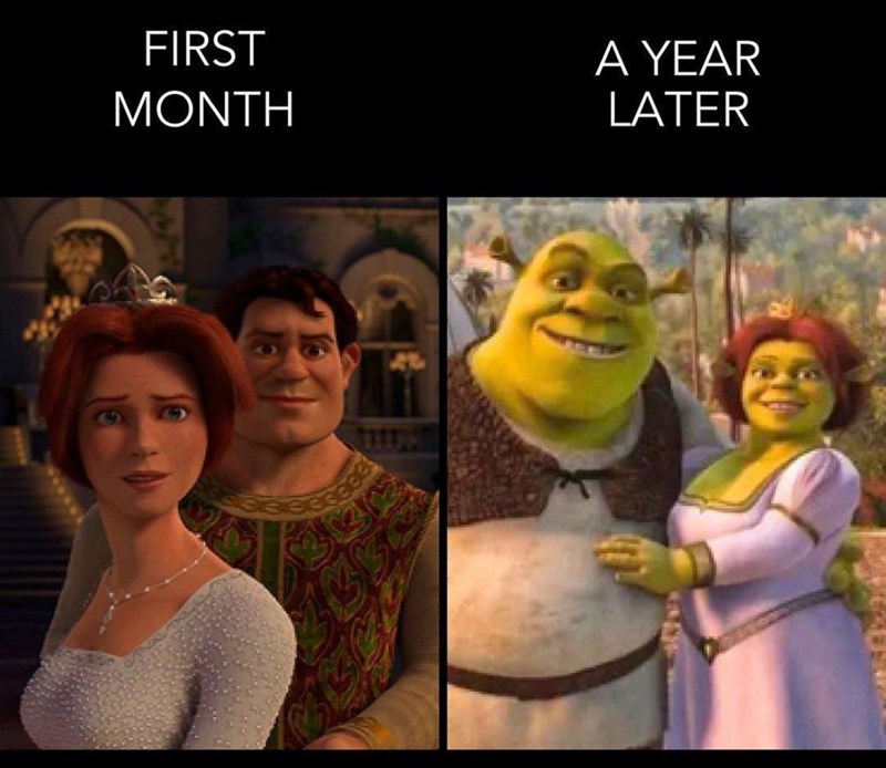 FIRST MONTH A YEAR LATER