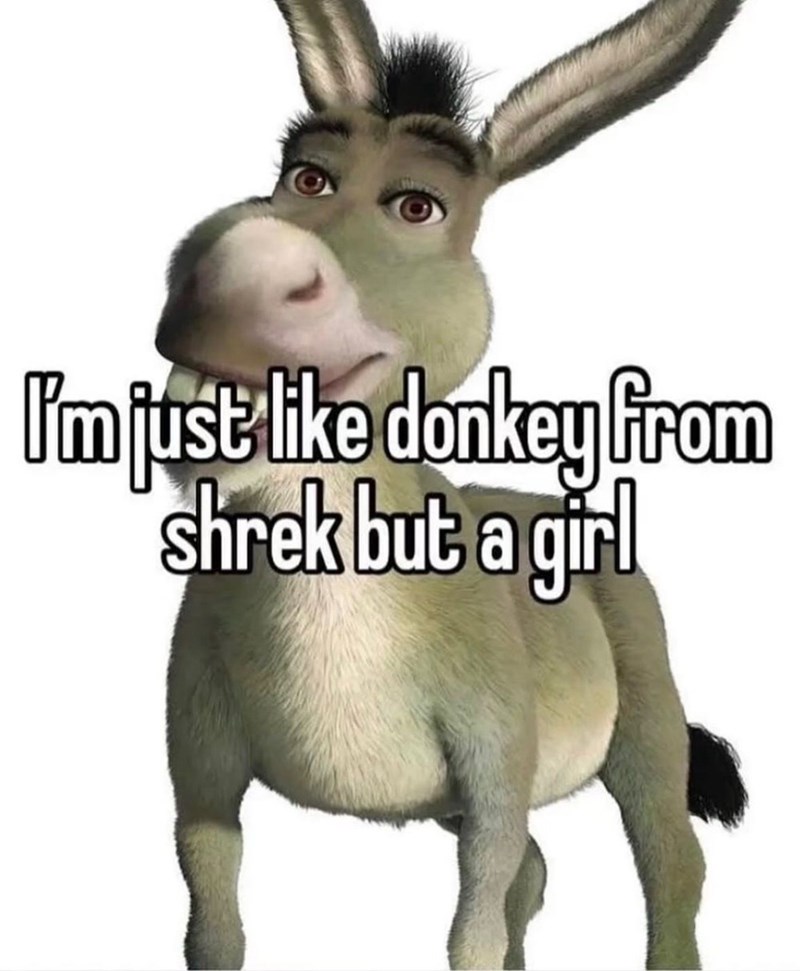I'm just like donkey from shrek but a girl