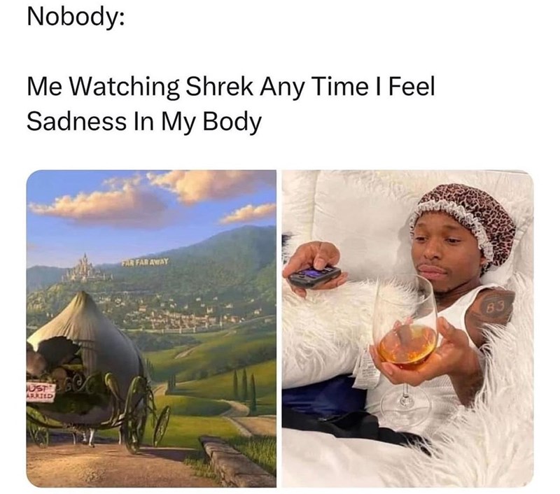 Nobody: Me Watching Shrek Any Time | Feel Sadness In My Body ARRIED FAR FAR AWAY