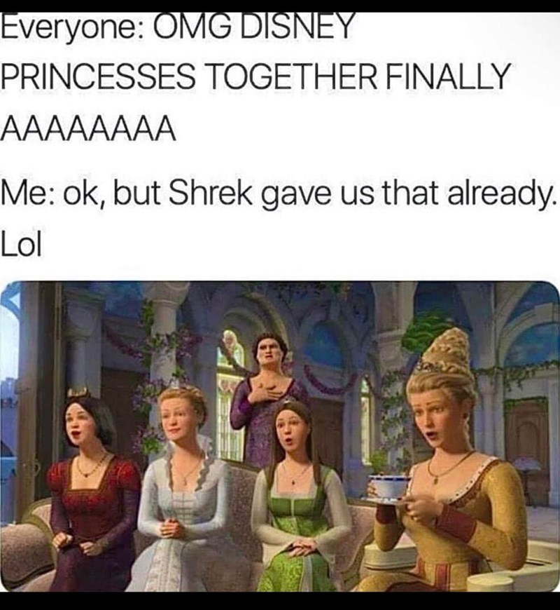 Everyone: OMG DISNEY PRINCESSES TOGETHER FINALLY AAAAAAAA Me: ok, but Shrek gave us that already. Lol