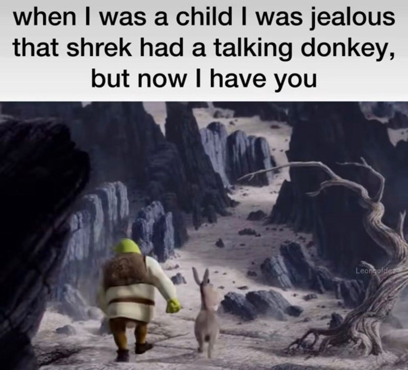 when I was a child I was jealous that shrek had a talking donkey, but now I have you Leongoldez