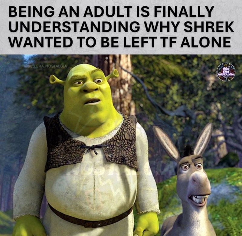 BEING AN ADULT IS FINALLY UNDERSTANDING WHY SHREK WANTED TO BE LEFT TF ALONE @90S.ERA.NOSTALGIA NOSTALO 90s NOSTALGIA