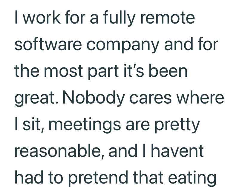 I work for a fully remote software company and for the most part it's been great. Nobody cares where I sit, meetings are pretty reasonable, and I havent had to pretend that eating