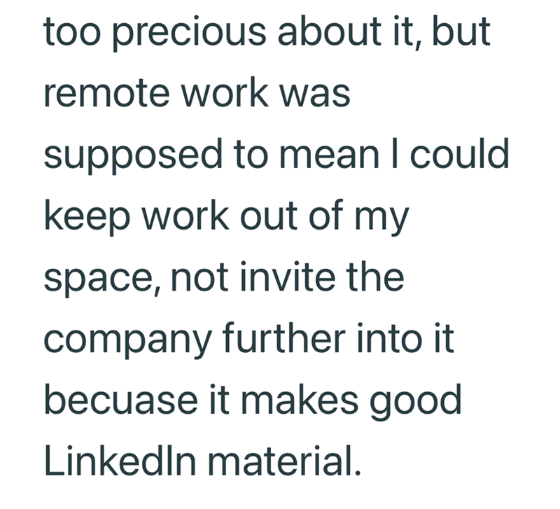 too precious about it, but remote work was supposed to mean I could keep work out of my space, not invite the company further into it becuase it makes good LinkedIn material.