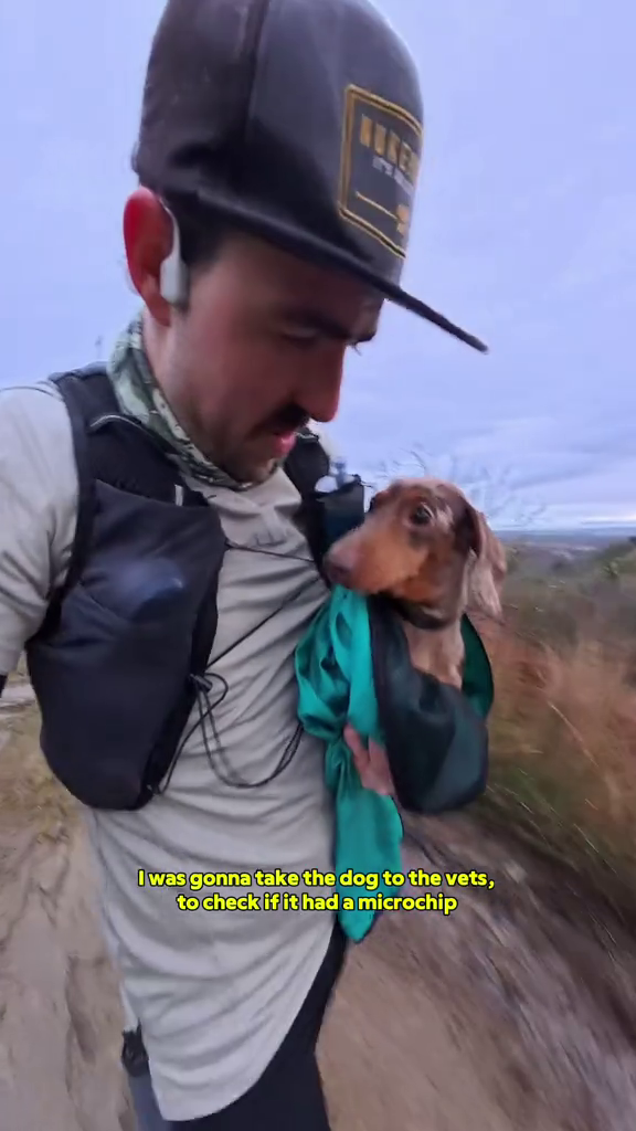 I was gonna take the dog to the vets, to check if it had a microchip