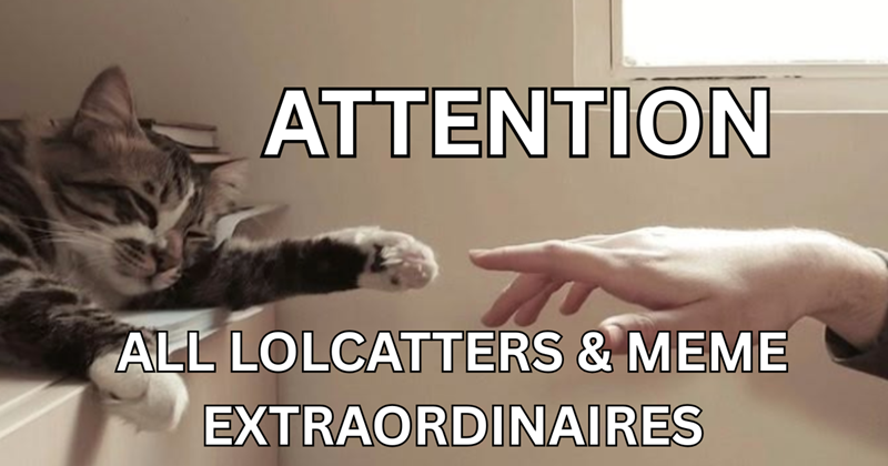 1 cat meme | Thumbnail includes one meme including 'ATTENTION ALL LOLCATTERS & MEME EXTRAORDINAIRES'
