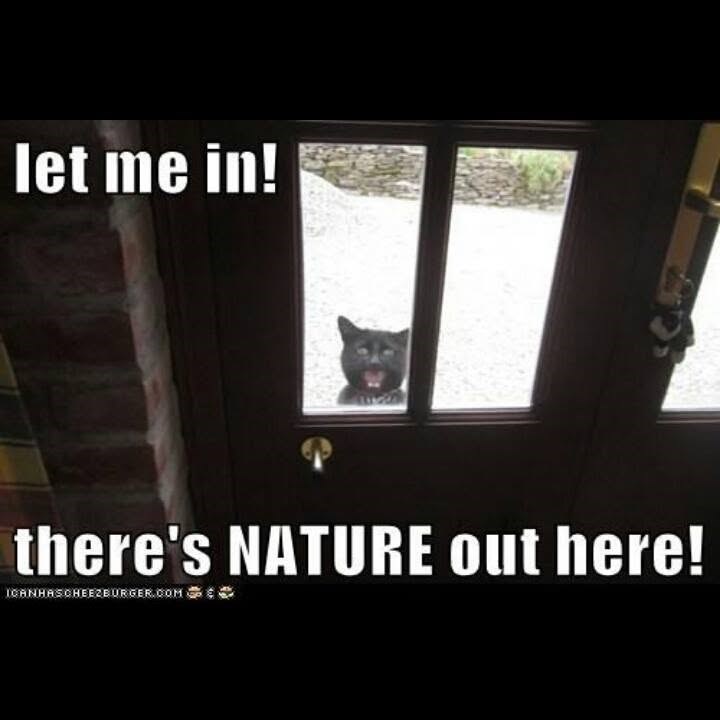 let me in! there's NATURE out here! ICANHASCHEEZBURGER.COM