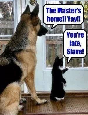 The Master's home!! Yay!! You're late, Slave!