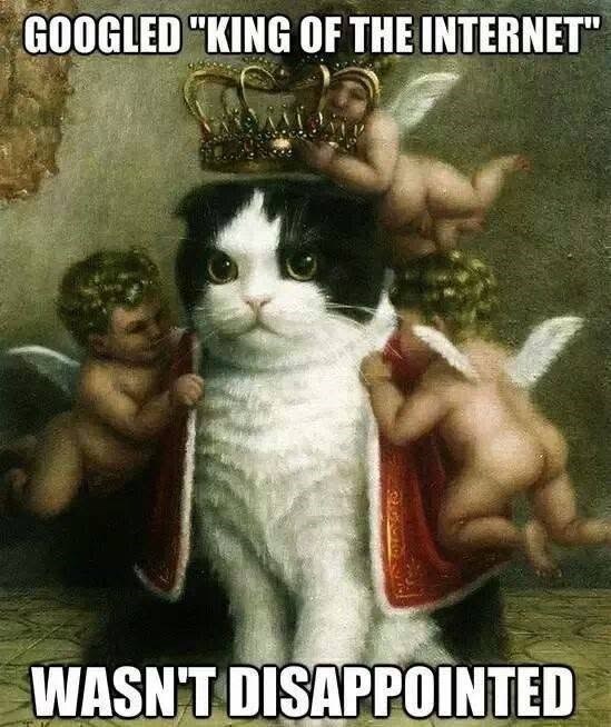 GOOGLED "KING OF THE INTERNET" WASN'T DISAPPOINTED
