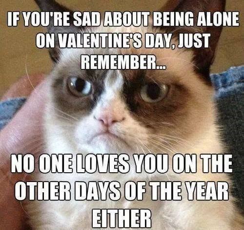 IF YOU'RE SAD ABOUT BEING ALONE ON VALENTINE'S DAY, JUST REMEMBER... NO ONE LOVES YOU ON THE OTHER DAYS OF THE YEAR EITHER