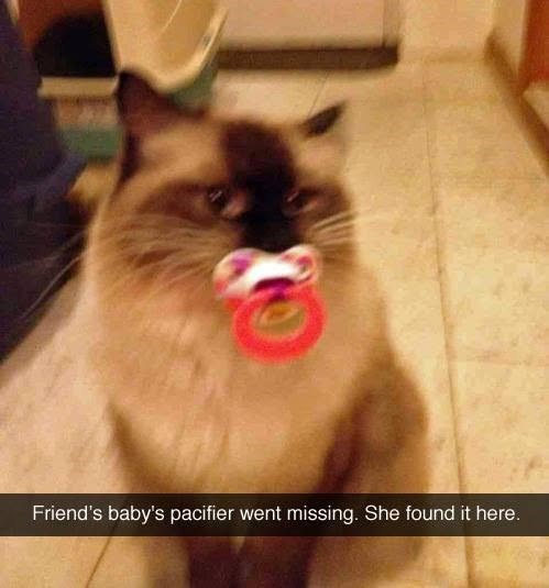 Friend's baby's pacifier went missing. She found it here.