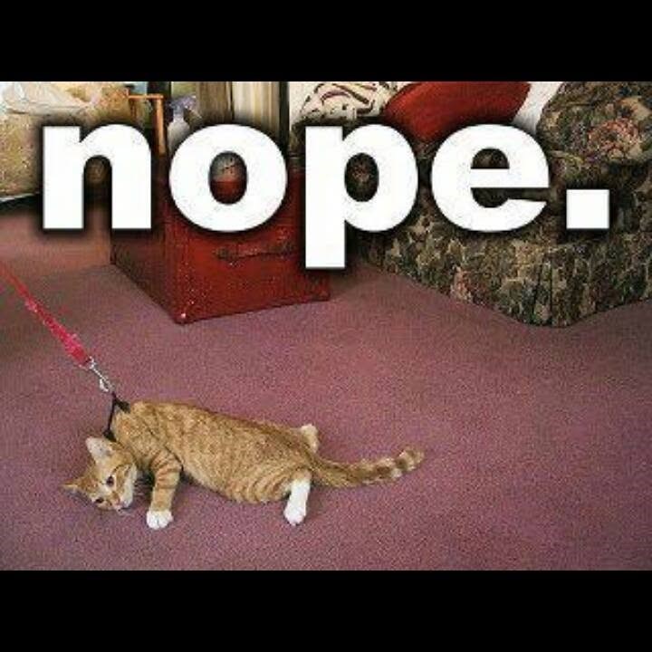 nope.