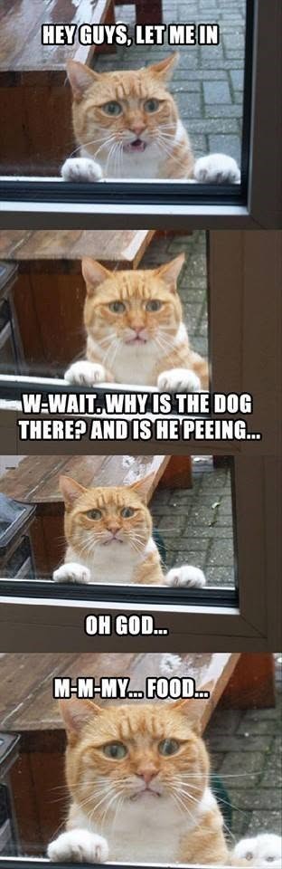 HEY GUYS, LET ME IN W-WAIT. WHY IS THE DOG THERE? AND IS HE PEEING... OH GOD... M-M-MY... FOOD..