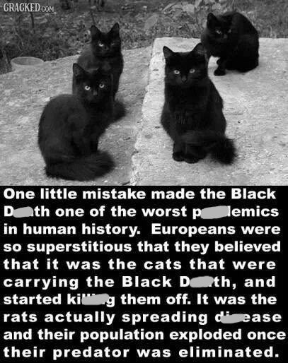 GRACKED COM One little mistake made the Black Dath one of the worst polemics in human history. Europeans were so superstitious that they believed that it was the cats that were carrying the Black Dth, and started killing them off. It was the rats actually spreading disease and their population exploded once their predator was eliminated.