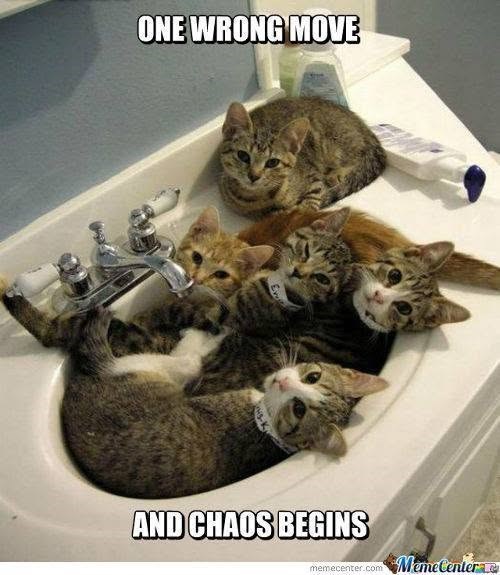 ONE WRONG MOVE Ev memecenter.com Meme Center AND CHAOS BEGINS