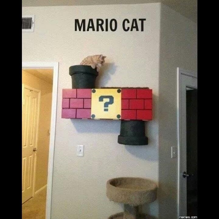 MARIO CAT B memes.com