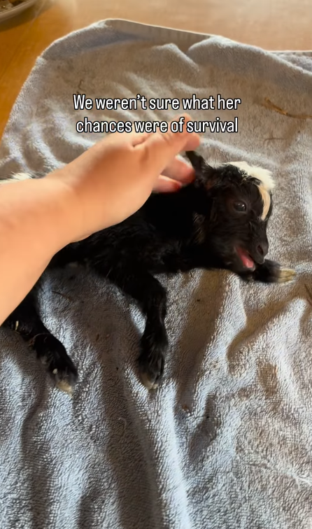 We weren't sure what her chances were of survival
