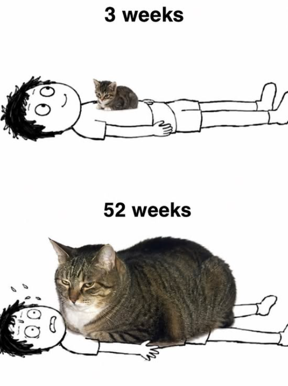 3 weeks 52 weeks