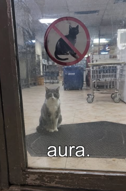 aura.