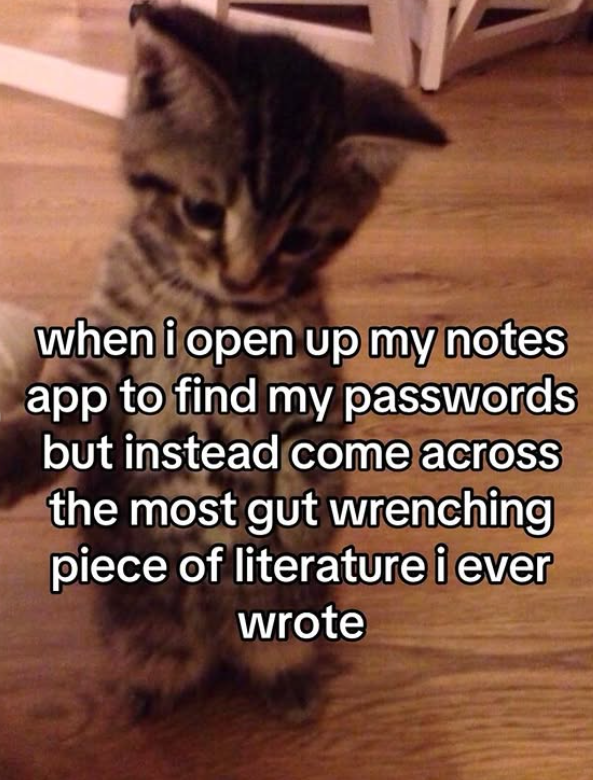 when i open up my notes app to find my passwords but instead come across the most gut wrenching piece of literature i ever wrote